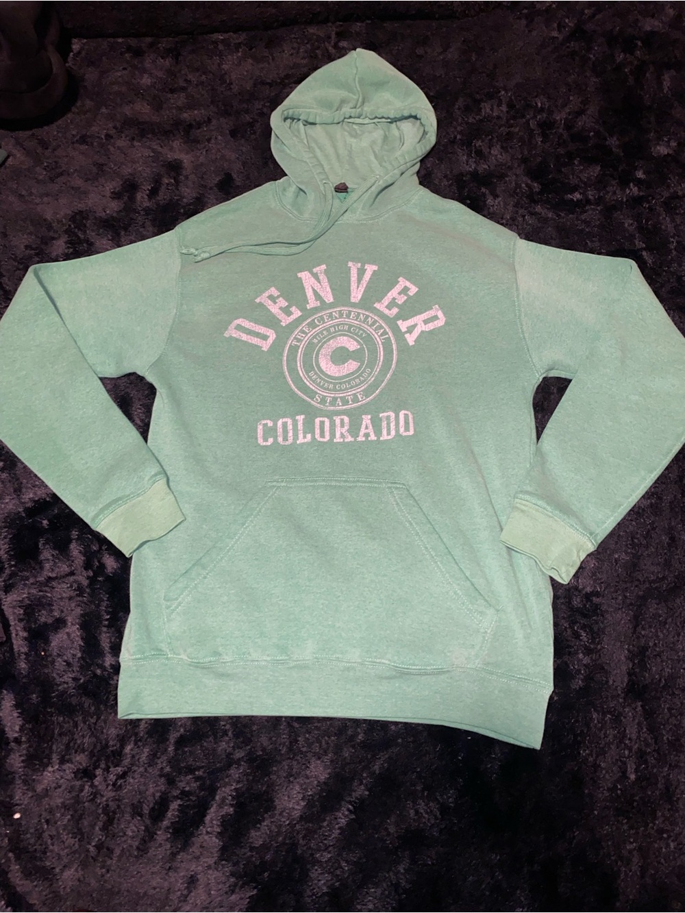 Denver Colorado Mint Green Hoodie